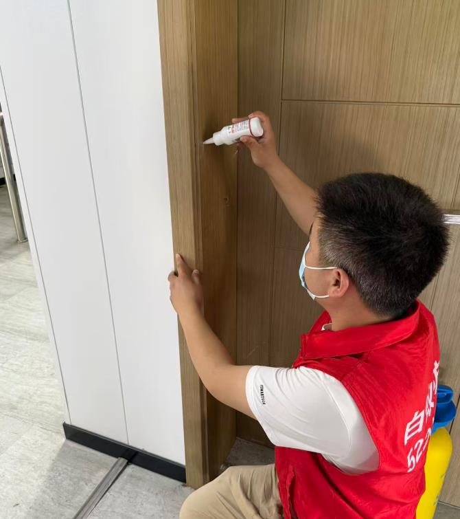 办公区白蚁防治