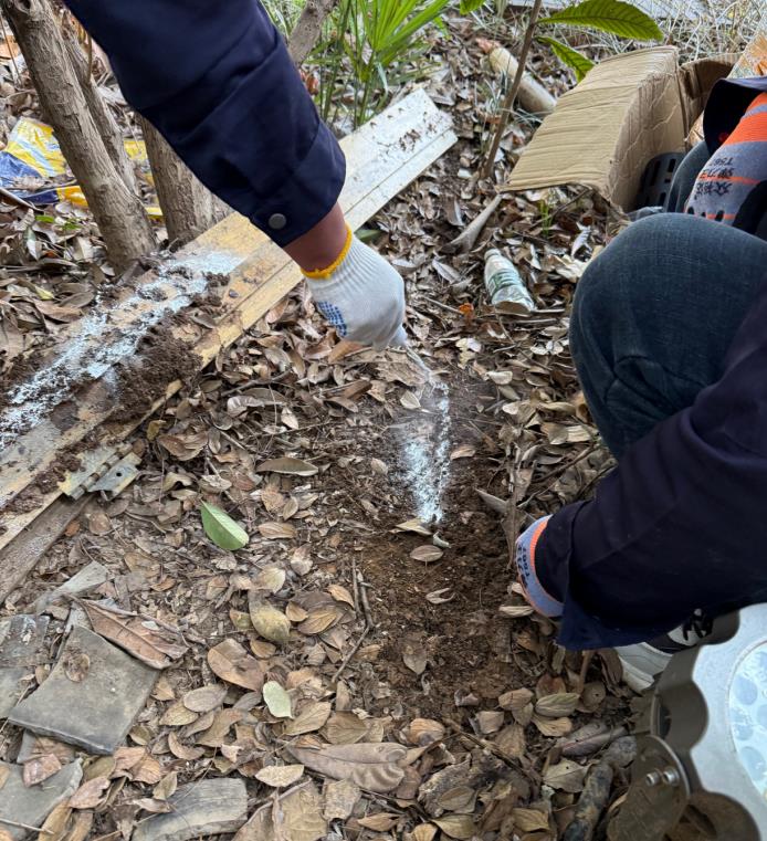 户外园林白蚁防治