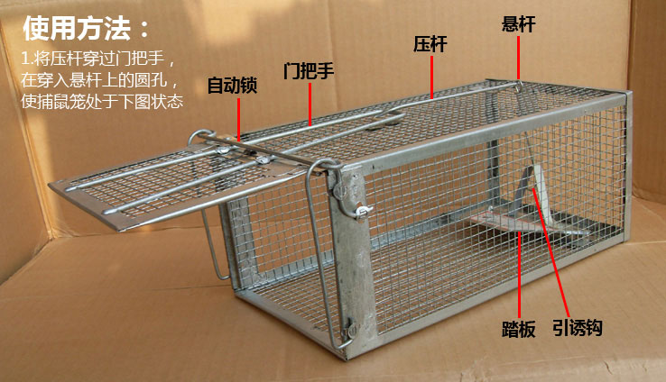 南京灭鼠 老鼠笼